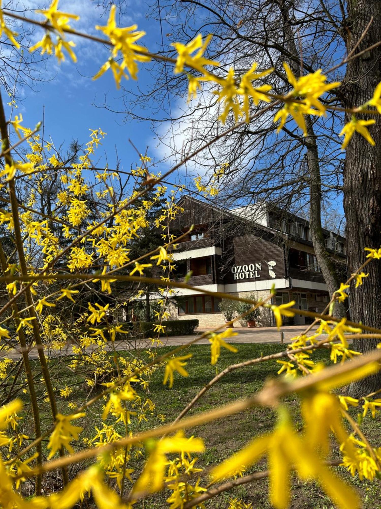 Ozoon Hotel Ньиредьхаза Экстерьер фото